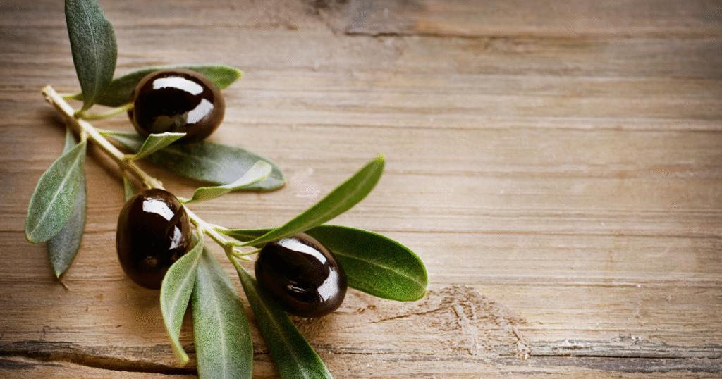 symbol-tree-olive